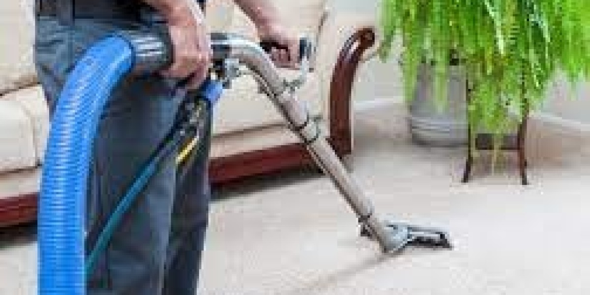 The Crucial Role of Carpet Cleaning Services in Protection