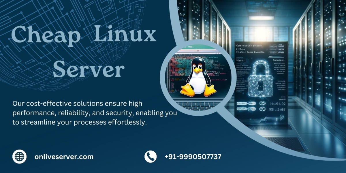 Budget-Friendly Tech: How a Cheap Linux Server Can Boost Your Business