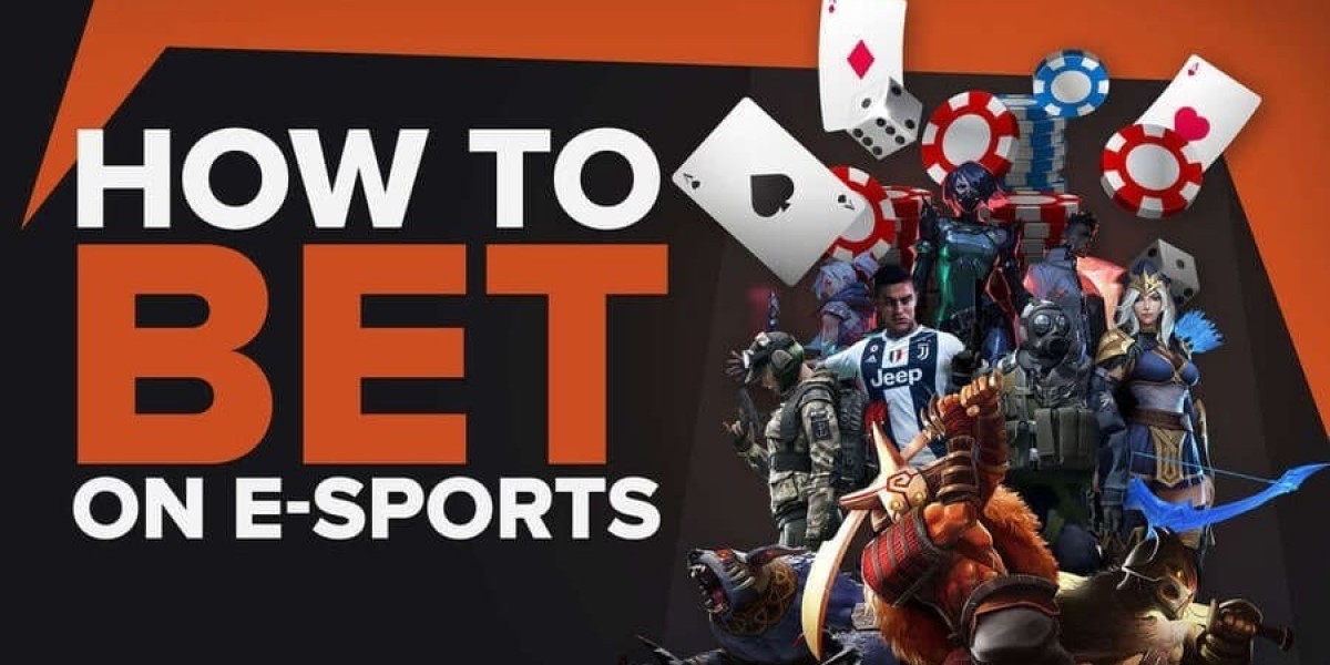 Betting Bonanza: The Korean Sports Gambling Site Saga