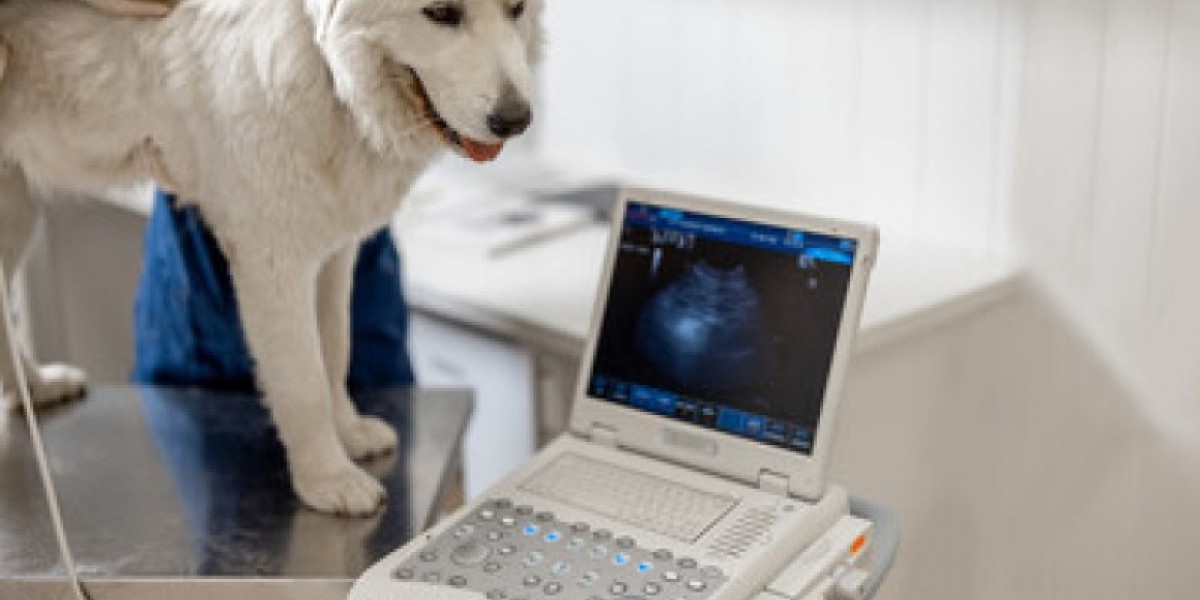 Detecção precisa: O poder do teste RT-PCR para diagnosticar doenças em animais