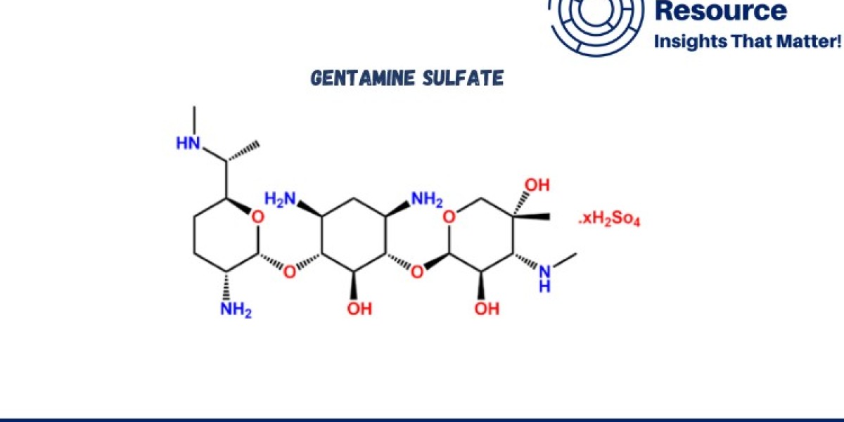 Gentamine Sulfate Production Process with Cost Analysis: Comprehensive Insight and Detailed Report