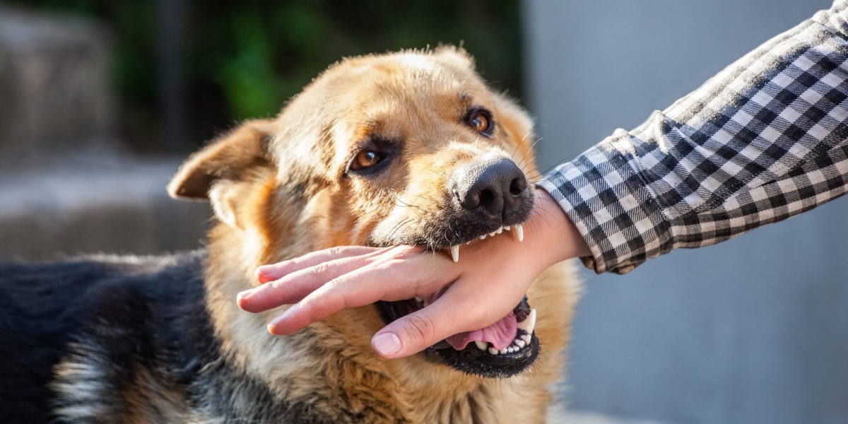 Dog Bite Prevention for Package Carriers | Ensuring Safe Deliveries
